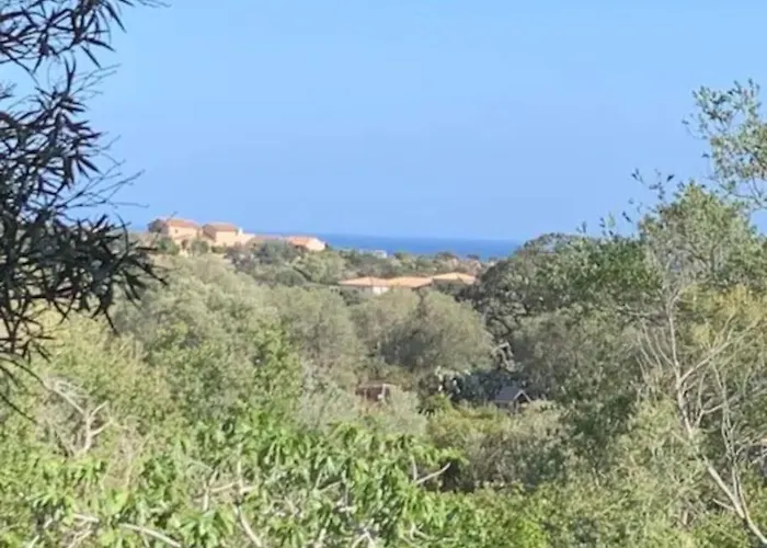 Διαμέρισμα Beau T2 Entre Santa Giulia Et Palombaggia - *