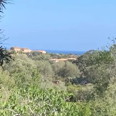 Apartmán Beau T2 Entre Santa Giulia Et Palombaggia - *